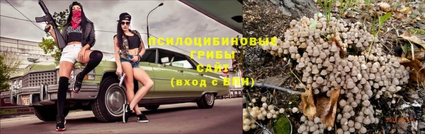 соль курить ск Алзамай