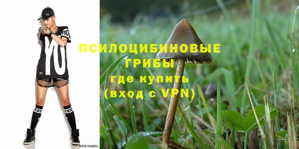 соль курить ск Алзамай
